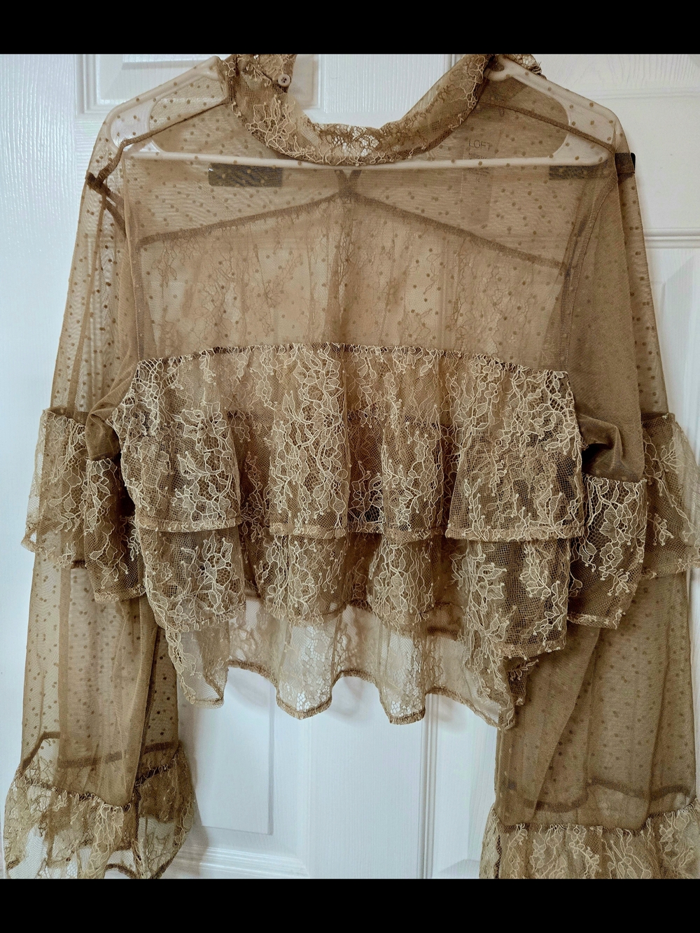 Sheer Lace Ruffle Crop Top in Tan Loft NEW WITH TAGS